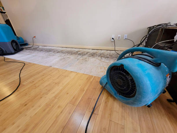 Professional Flood Damage Cleanup technician working in Golden, MS